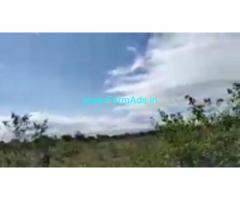 2.5 Acres Agriculture Land For Sale In T.Narasipura 2.5 Acres Agriculture Land For Sale In T.Narasipura