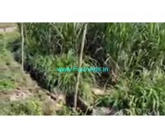 2.5 Acres Agriculture Land For Sale In T.Narasipura 2.5 Acres Agriculture Land For Sale In T.Narasipura