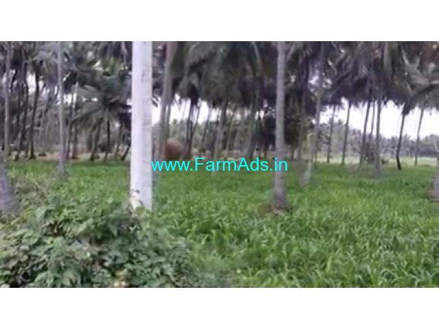 26 Gunta Farm Land For Sale In Channapattana 26 Gunta Farm Land For Sale In Channapattana