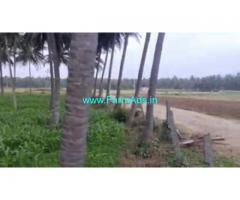 26 Gunta Farm Land For Sale In Channapattana 26 Gunta Farm Land For Sale In Channapattana