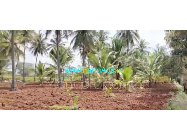 2 Acres 30 Gunta Farm Land For Sale In Malavalli 2 Acres 30 Gunta Farm Land For Sale In Malavalli