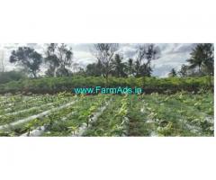 2 Acres Agriculture Land For Sale In T.Narasipura