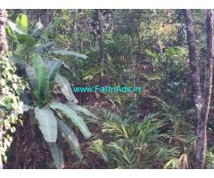 7 acre coffee and cardamom plantation for sale in Mudigere