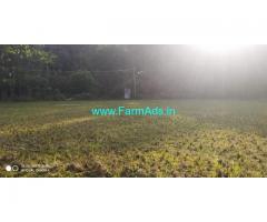 1.10 Acre Paddy field for sale in Chikmagalur