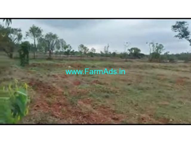 3 Acres Farm Land For Sale In Avverahalli 3 Acres Farm Land For Sale In Avverahalli