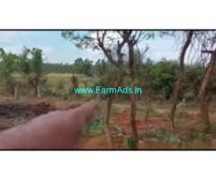 3 Acres Farm Land For Sale In Avverahalli 3 Acres Farm Land For Sale In Avverahalli