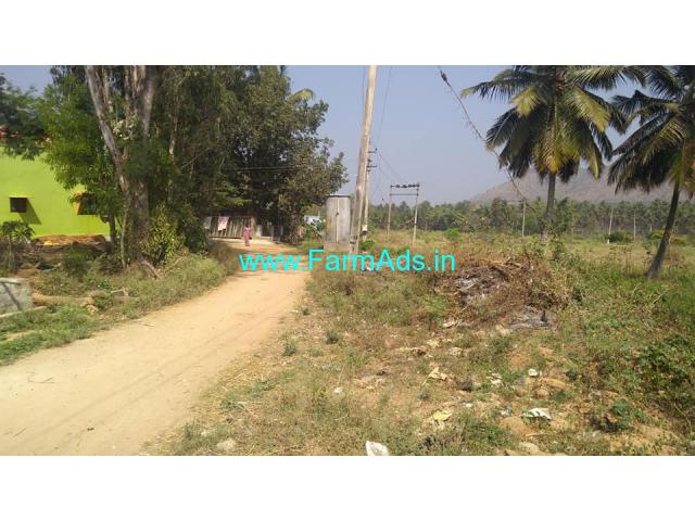 1.20 Acre Coconut Plantation for Sale near Halagur,75km from Bangalore 1.20 Acre Coconut Plantation for Sale near Halagur,75km from Bangalore