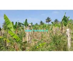 4.5 Acre Farm Land for Sale Near Mysore