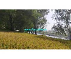 10 Acre Farm Land for Sale Near T.Narasipura