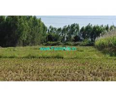 3 Acre Farm Land for Sale Near Tirumakudalu Narasipura