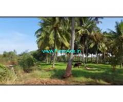 5 Acres 24 Gunta Coconut Farm Land For Sale In Mysuru