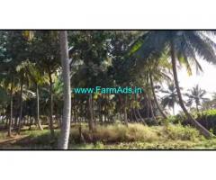 5 Acres 24 Gunta Coconut Farm Land For Sale In Mysuru