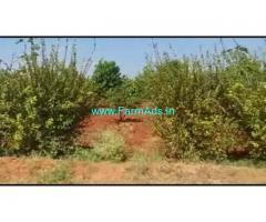 6 Acres Agriculture Land For Sale In Malavalli 6 Acres Agriculture Land For Sale In Malavalli