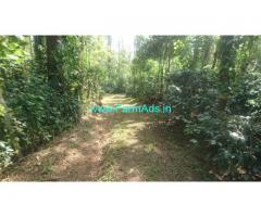 10 Acre Arabica Coffee Estate for Sale near Chikmagalur