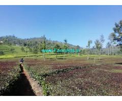 6.50 Acres tea estate for Sale in Kotagiri