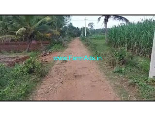 4 Acres 36 Gunta Agriculture Land For Sale In Hoskote 4 Acres 36 Gunta Agriculture Land For Sale In Hoskote