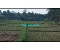 4 Acres 36 Gunta Agriculture Land For Sale In Hoskote 4 Acres 36 Gunta Agriculture Land For Sale In Hoskote