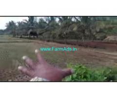 4 Acres 36 Gunta Agriculture Land For Sale In Hoskote 4 Acres 36 Gunta Agriculture Land For Sale In Hoskote