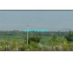 12 Acres Agriculture Land For Sale In Thagaduru