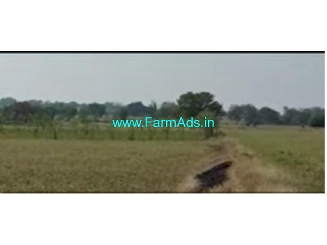 2 Acres 12 Gunta Farm Land For Sale In Hedathale 2 Acres 12 Gunta Farm Land For Sale In Hedathale