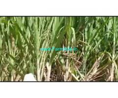 2 Acres 12 Gunta Farm Land For Sale In Hedathale 2 Acres 12 Gunta Farm Land For Sale In Hedathale