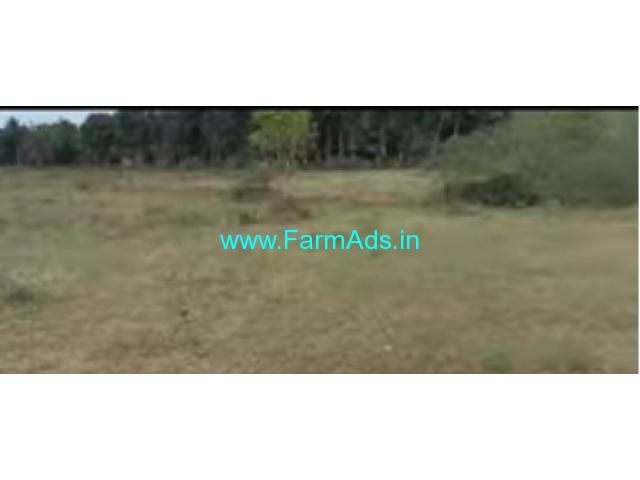 8 Acres Agriculture Land For Sale In Avverahalli 8 Acres Agriculture Land For Sale In Avverahalli