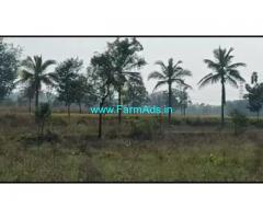 6 acres 20 Gunta Agriculture Land For Sale In Belakavadi 6 acres 20 Gunta Agriculture Land For Sale In Belakavadi