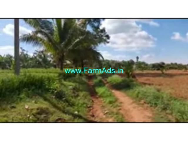 4 Acres 20 Gunta Farm Land For Sale In Narayanpura 4 Acres 20 Gunta Farm Land For Sale In Narayanpura