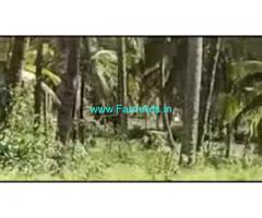 4 Acres 20 Gunta Farm Land For Sale In Narayanpura 4 Acres 20 Gunta Farm Land For Sale In Narayanpura