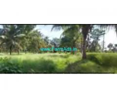4 Acres 20 Gunta Farm Land For Sale In Narayanpura 4 Acres 20 Gunta Farm Land For Sale In Narayanpura