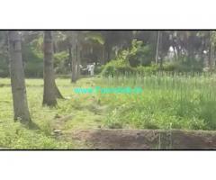 3 Acres 20 Gunta Agriculture Land For Sale In Kurahatti