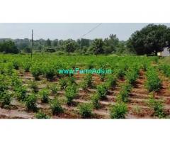 6 Acre Farm Land for Sale Near Kanakapura Road