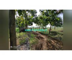 12 Acre Farm Land for Sale Near T Narasipura