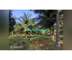 12 Acre Farm Land for Sale Near T Narasipura