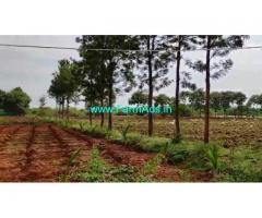 2.20 Acre Farm Land for Sale Near T Narasipura