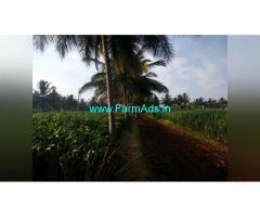 4 Acre Farm Land for Sale Near Mysore