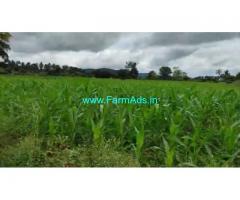 7 Acre Farm Land for Sale Near Mysore