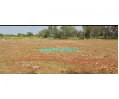 4 Acres 30 Gunta Agriculture Land For Sale In Hedathale