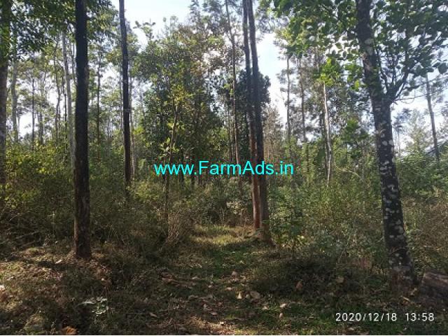 18.5 Acres Robusta Coffee Estate for Sale at Kerodi 18.5 Acres Robusta Coffee Estate for Sale at Kerodi