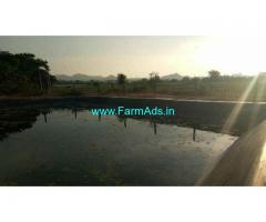 127 Acres Dairy farm Sale at Eadulur village