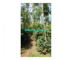 10 Acres Boundary Coffee estate for sale in Chikmagalur