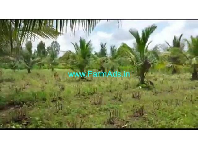 4 Acres Agriculture Land For Sale In Malavalli 4 Acres Agriculture Land For Sale In Malavalli