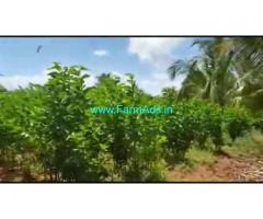 4 Acres Agriculture Land For Sale In Malavalli 4 Acres Agriculture Land For Sale In Malavalli
