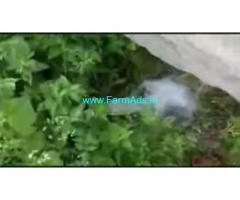4 acres 02 Gunta Farm Land For Sale In Muthathi