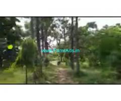 4 acres 02 Gunta Farm Land For Sale In Muthathi