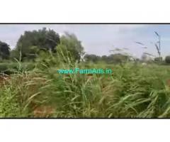 10 Gunta Farm Land For Sale In Mysuru