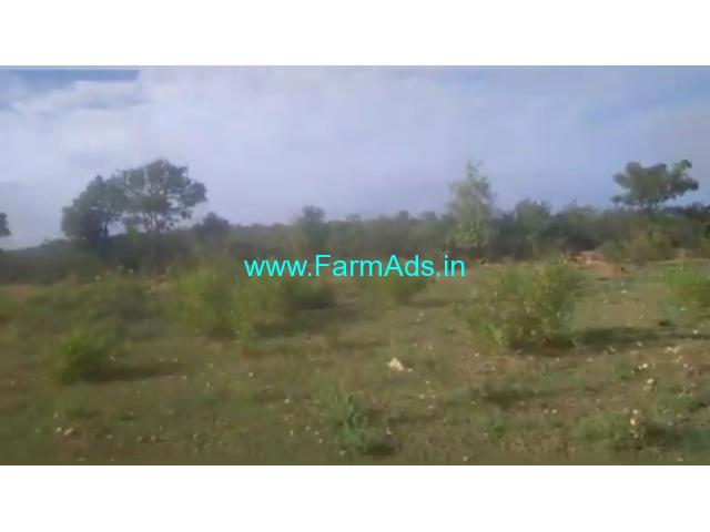 2 Acre Farm Land for Sale Near Mysore 2 Acre Farm Land for Sale Near Mysore