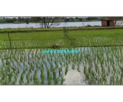 1 Acre Farm Land for Sale Near Mysore 1 Acre Farm Land for Sale Near Mysore