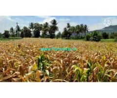 4.5 Acre Farm Land for Sale Near Mysore