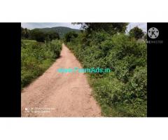 4.5 Acre Farm Land for Sale Near Mysore
